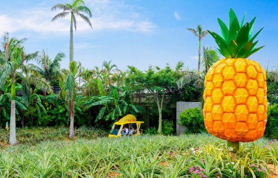 沖沖繩，是時候和家人一起享受時光。 「BEB5 沖繩瀨良垣 by 星野集團」三天兩夜行程|推薦模型課程