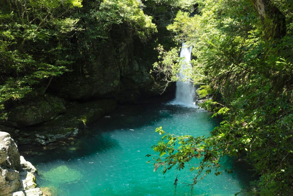 高知可以充分享受自然和歷史的推薦觀光景點