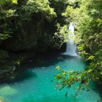 高知可以充分享受自然和歷史的推薦觀光景點