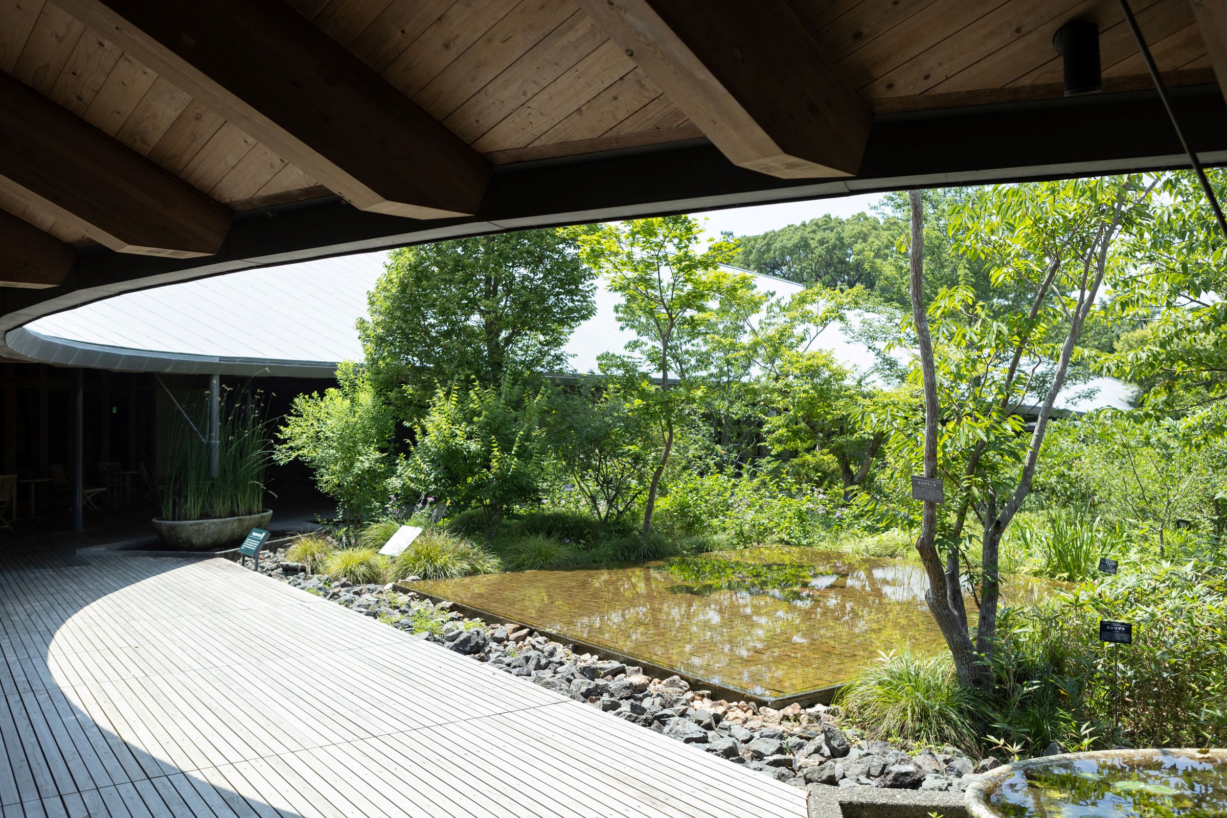 照片由高知縣立牧野植物園提供