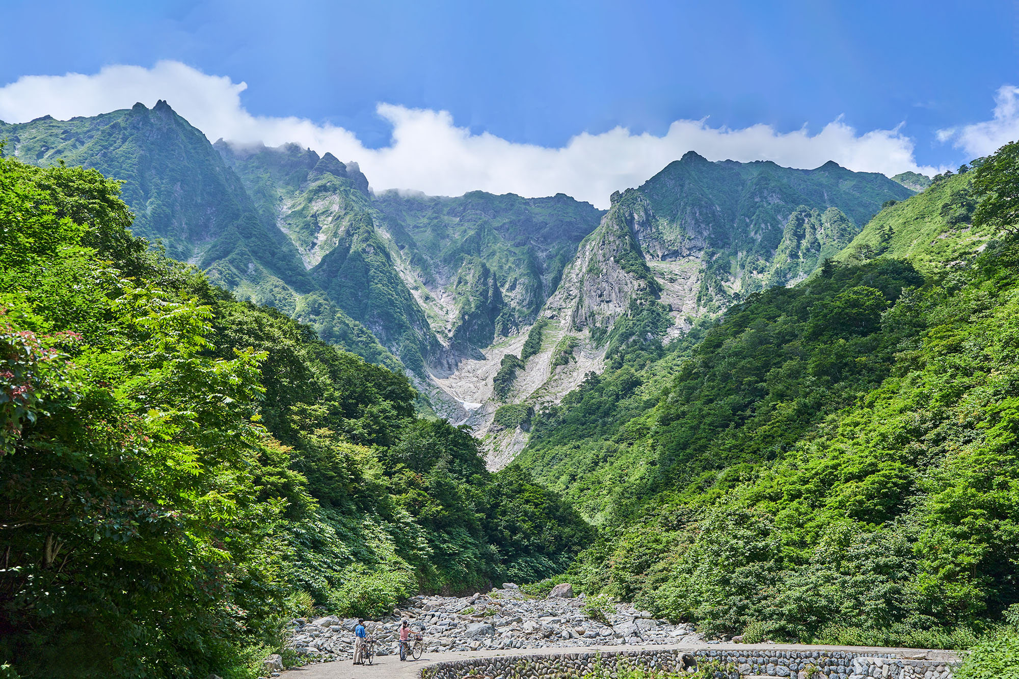 在風景多樣的鋪砌路線上舒適地騎行 90 分鐘