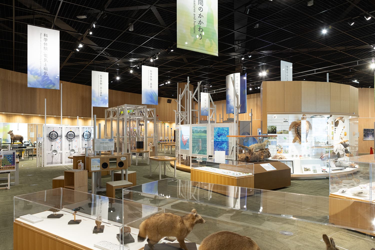 在一個大樓層按主題劃分的常設展覽