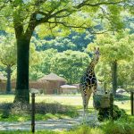 充分享受高知的魅力。 推薦與孩子一起享受的觀光景點