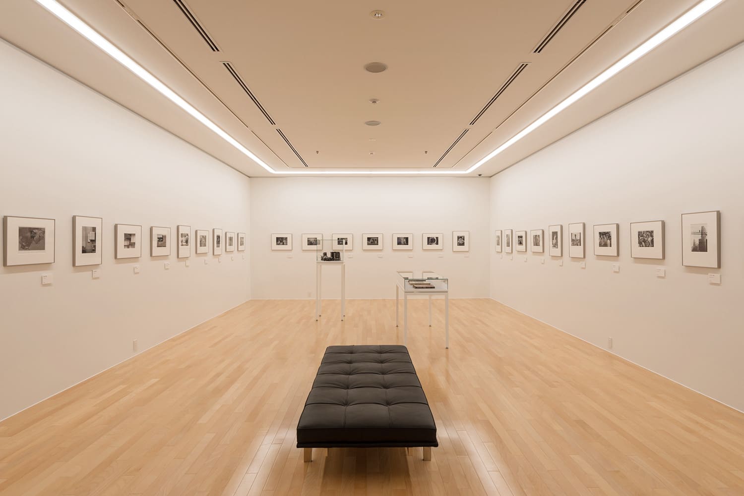 石本康弘的展覽室。 石本先生也因拍攝丹下健三和菊竹清典等代表日本的建築師的作品而聞名