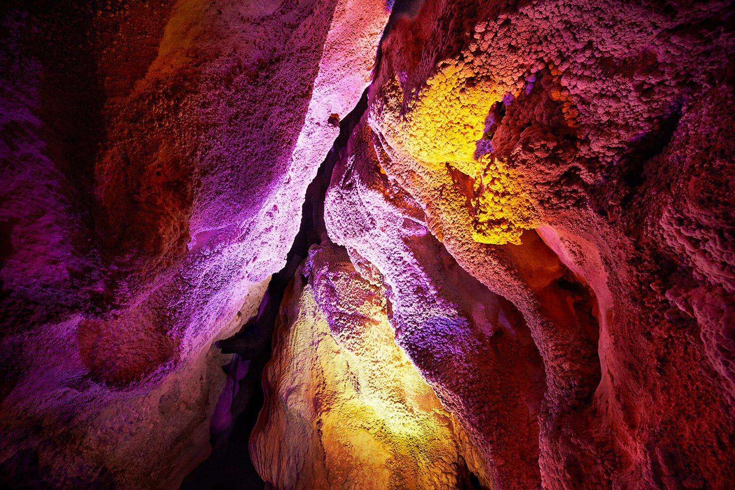 讓人聯想到花朵的鐘乳石遍布整個地區