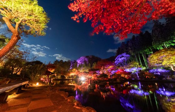 [2025年版] 7個為仙台與秋保地區染紅的秋葉斑點