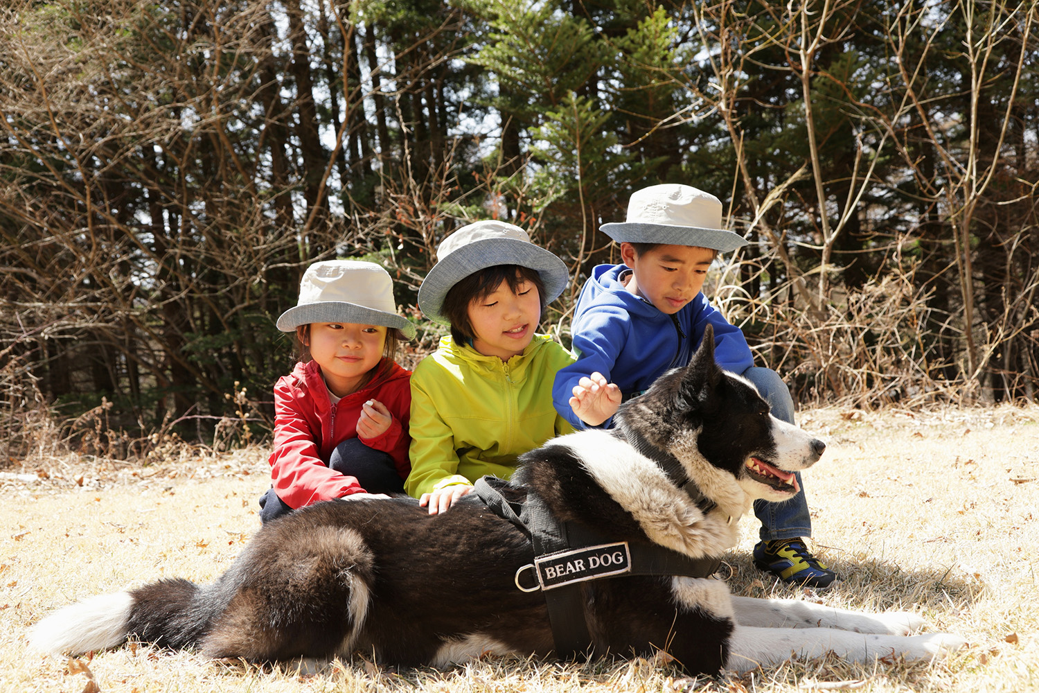 在「保護熊的工作體驗」中，你可以嘗試體驗著熊犬在森林巡邏