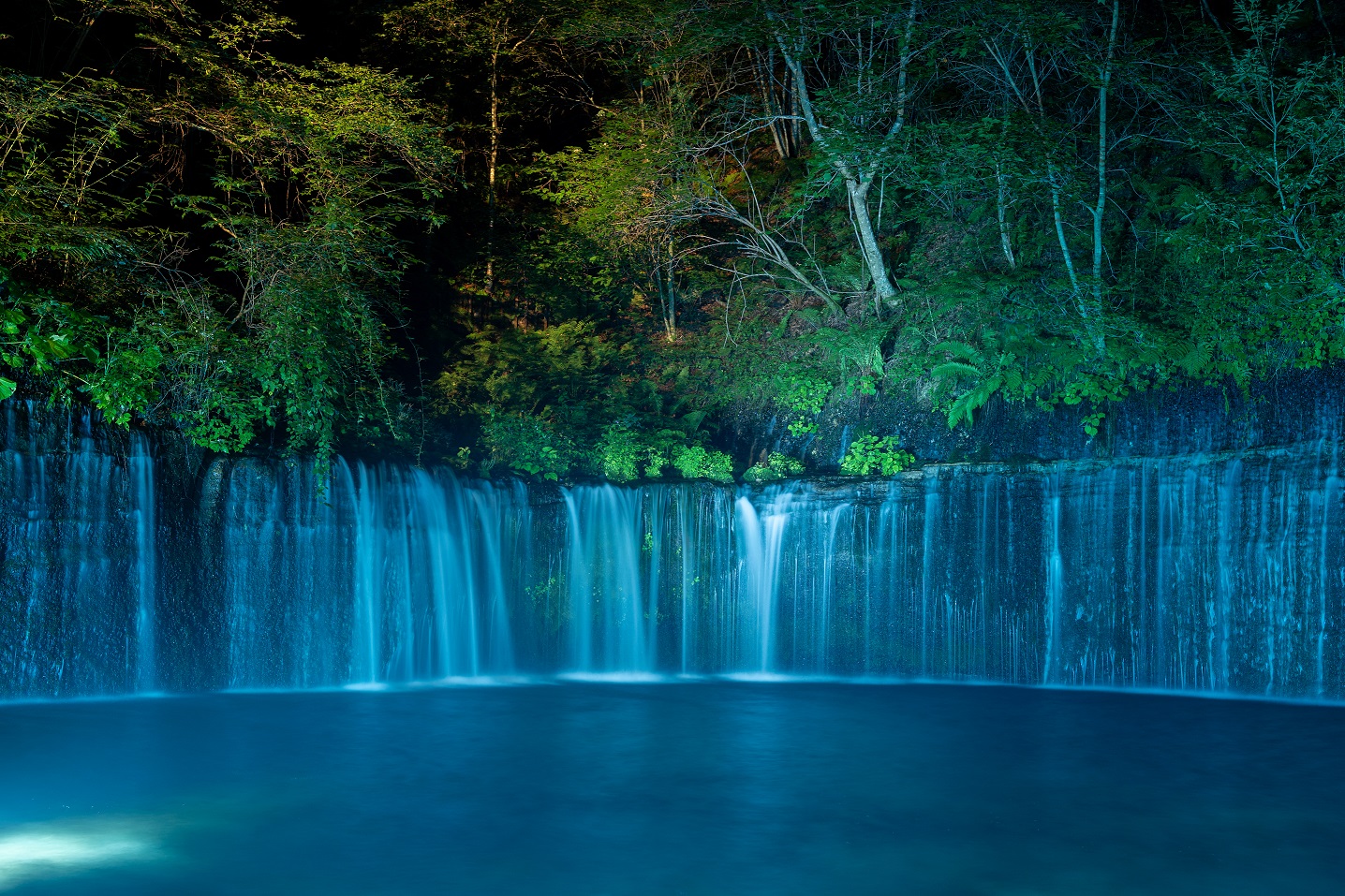 考慮到自然環境（例如光強度和顏色）的自然友好型光生產。