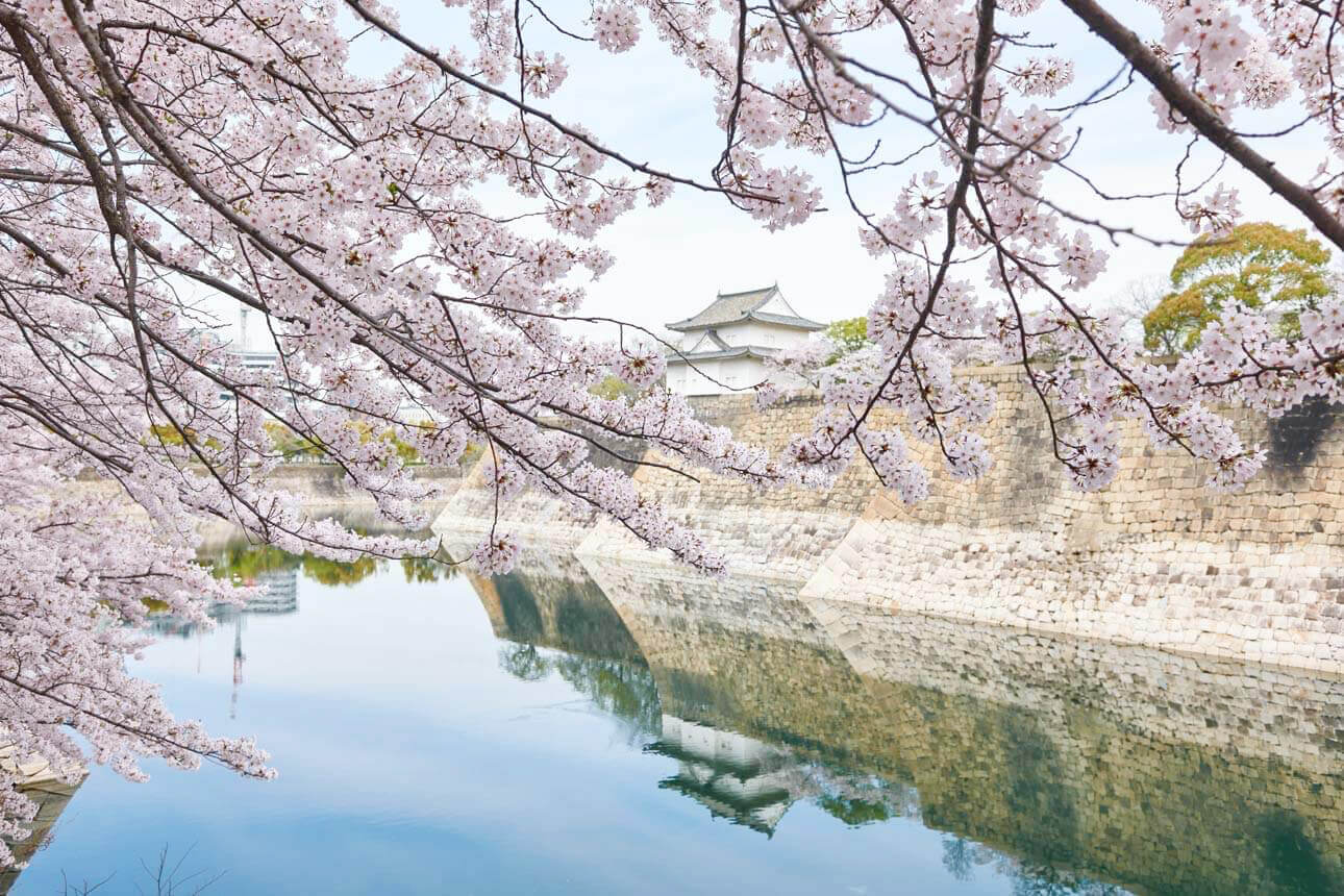 照片由大阪城公園中心提供