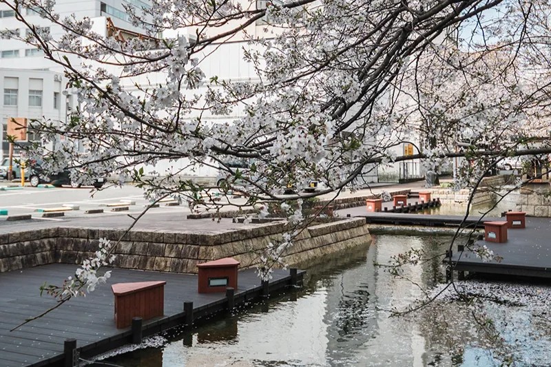 照片由黑宮敬人提供