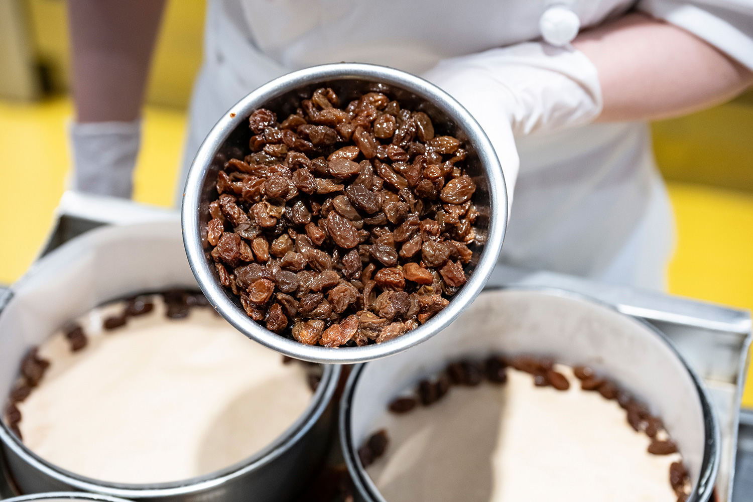 在芝士蛋糕的底部，葡萄乾沿著周邊放置，以便每個人都可以在切成放射狀時品嚐它