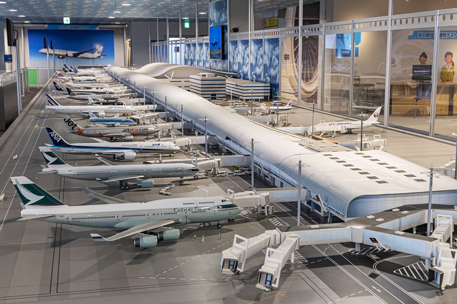 变成一个你想住的机场！ 新“关西国际机场”的魅力及推荐的观赏方式—— MICHIKUSA Guide~星野漫游指南~