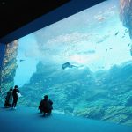 仙台和秋保推薦的6個觀光景點，適合在雨天享受