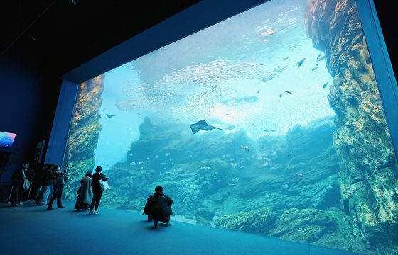 仙台和秋保推薦的6個觀光景點，適合在雨天享受