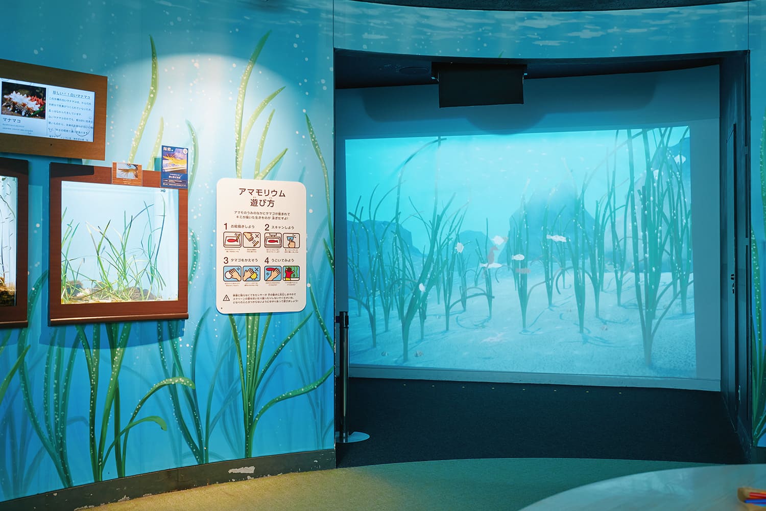 深受孩子們歡迎的 Amamorium 角落