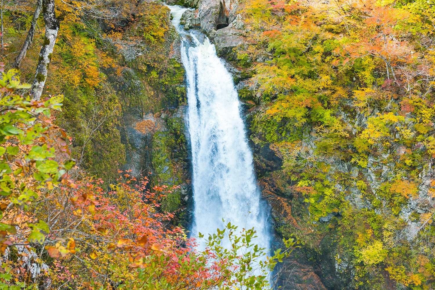 秋保瀑布被指定為國家級風景名勝。 這裡也是秋葉盛放的熱門地點。照片由仙台旅遊國際協會提供
