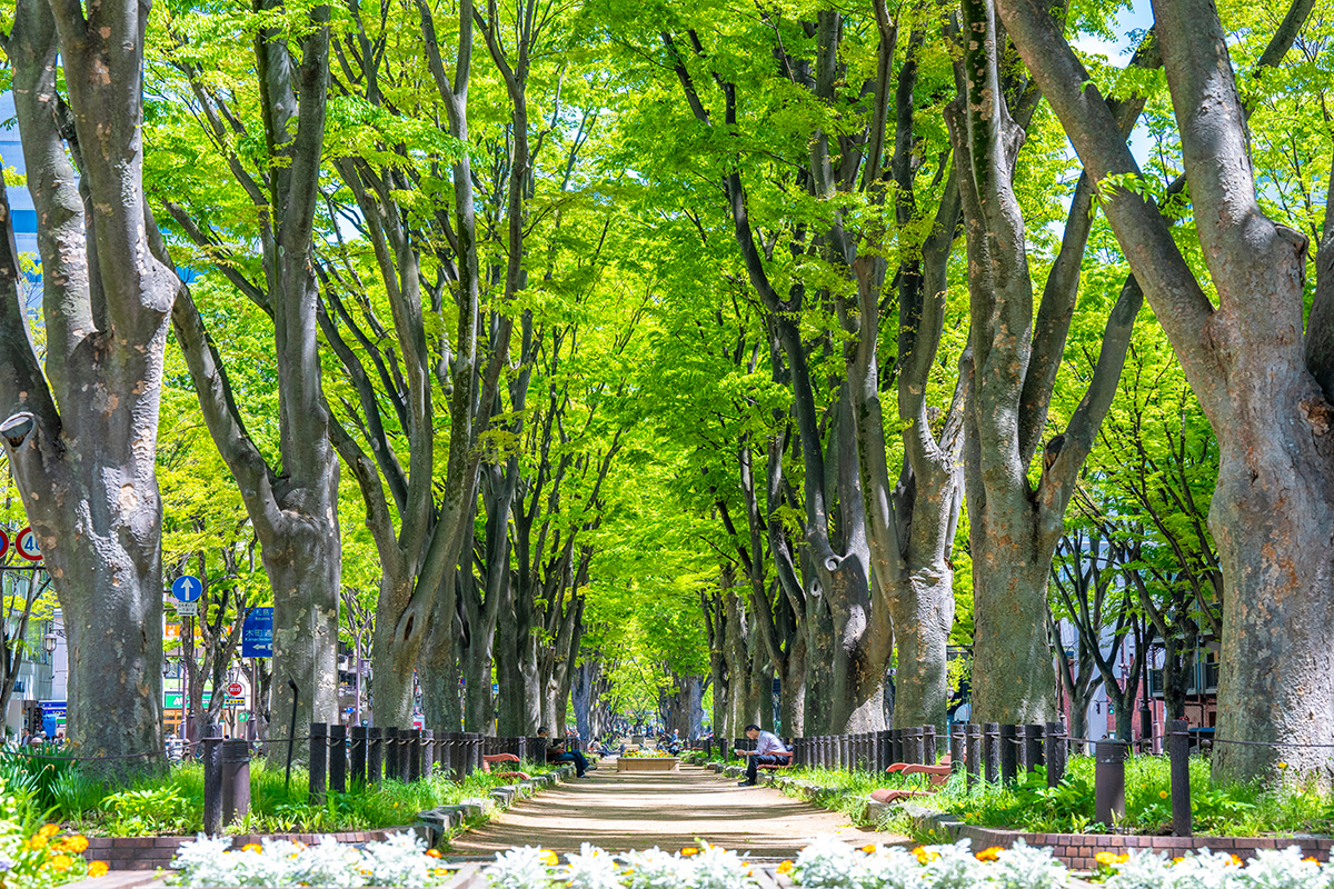 長廊上設有長椅，可以休息一下，吃點小吃，度過愉快的時光