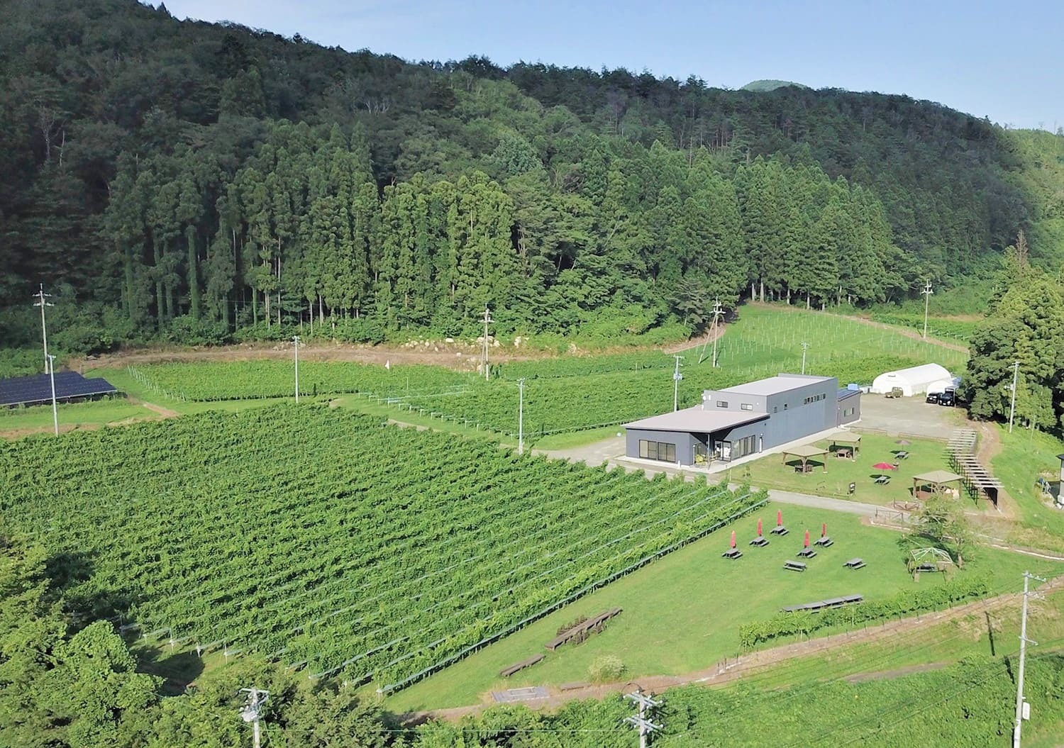 在秋保的自然風光環繞下，你可以品嘗葡萄酒和當地食材