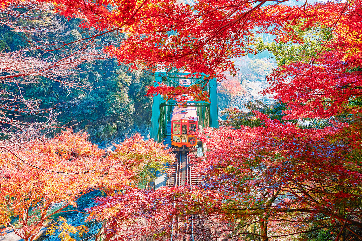 從保津川橋（距離托洛科嵯峨站約3,150m）看到的左右山脈的紅葉