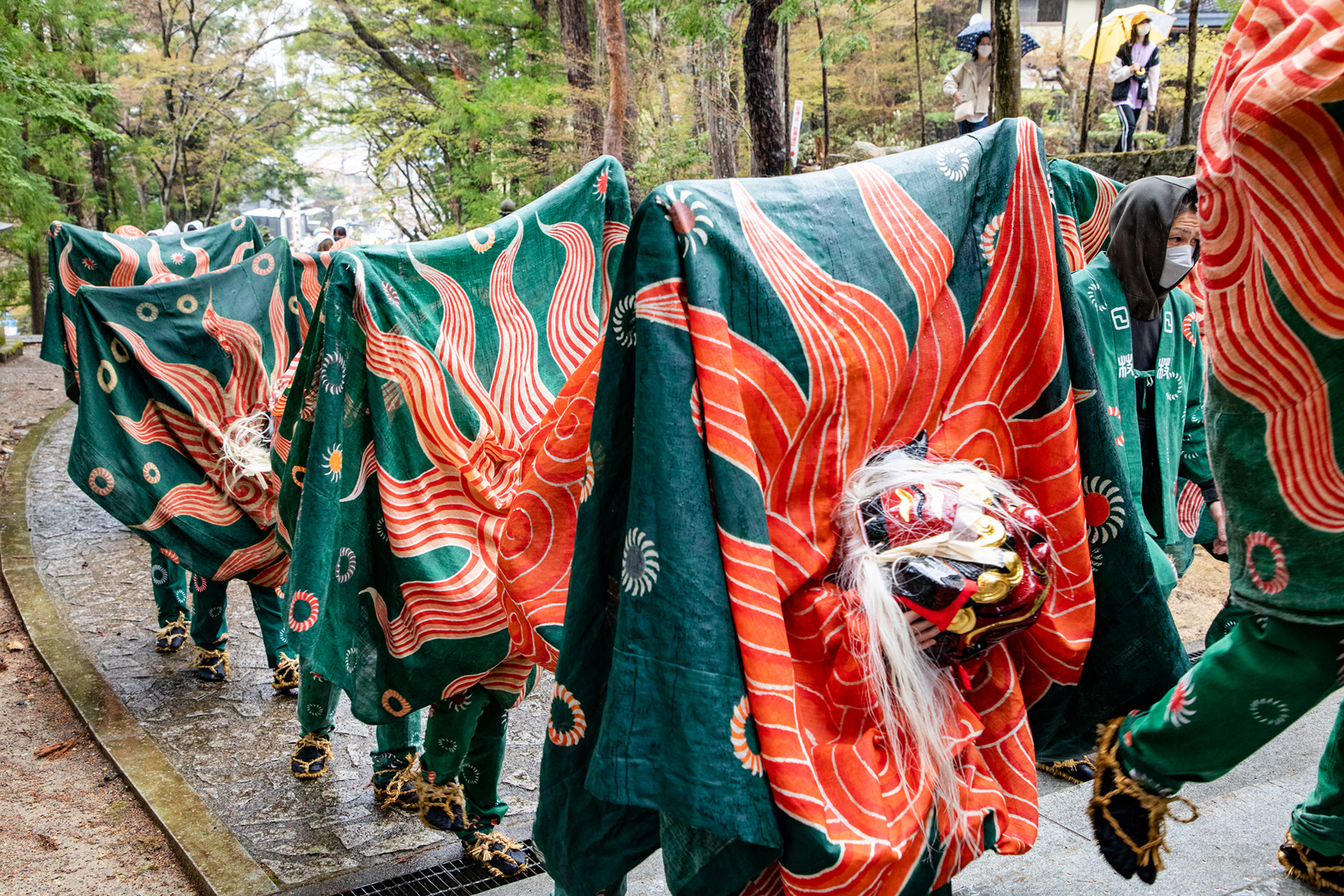 穿著代表獅子頭毛髮的深綠色和朱紅色油丹的舞獅