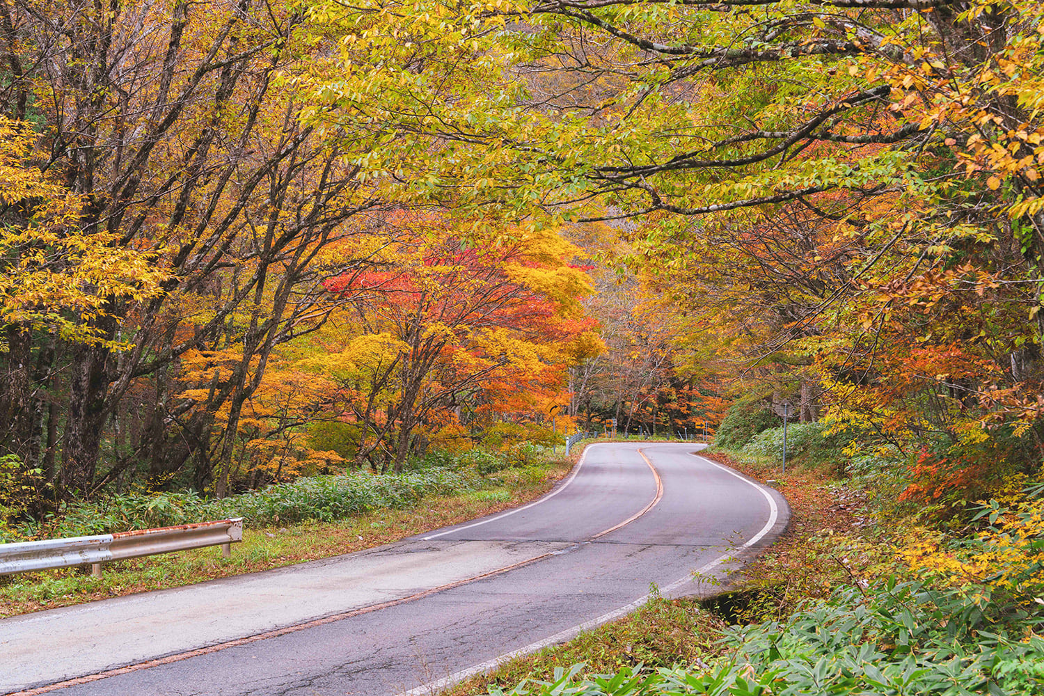 約90分鐘的悠閒駕車路線。 還有一些拍照點，讓你想拿著相機