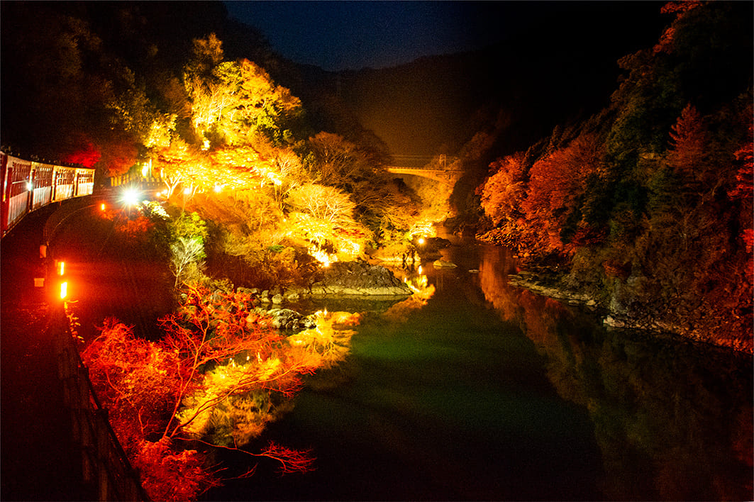 山谷僅在「幻光列車」運行期間點亮