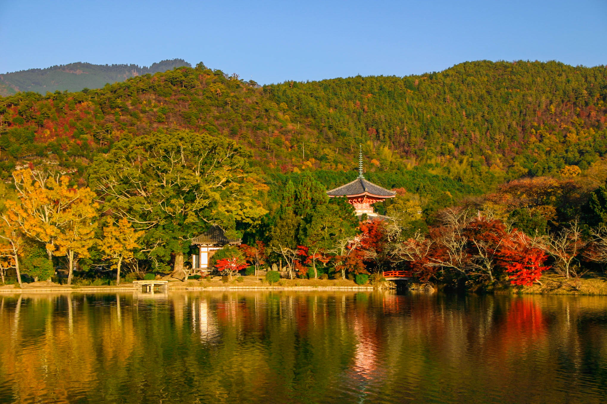 從大澤池的東側，隔著池塘可以看到對岸的五大殿、心經塔和紅葉路