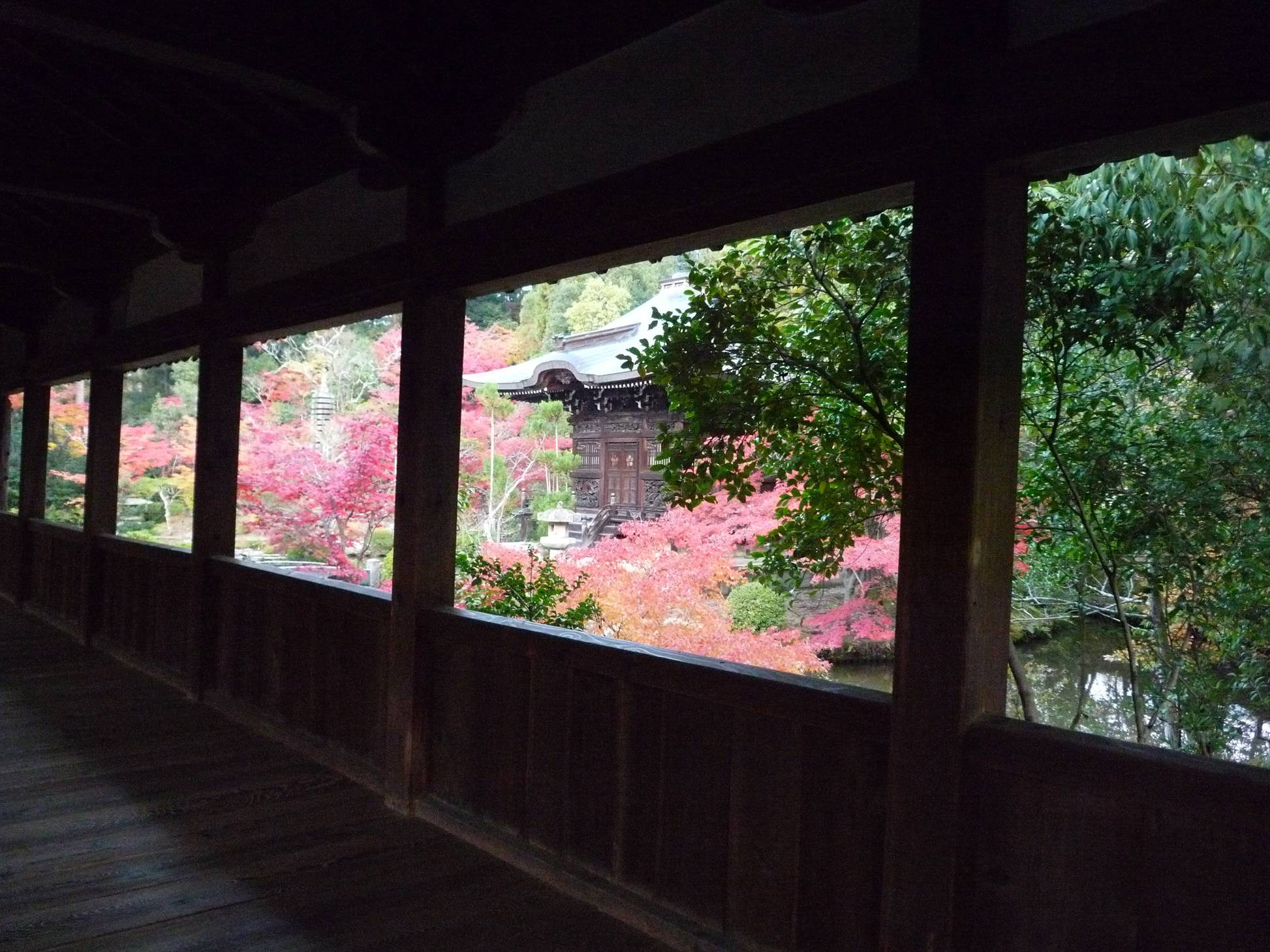 從大殿北側的十字走廊，可以拍到畫作般的構圖