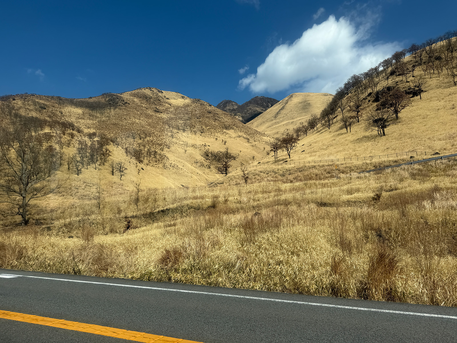 从巴士可以看见的群山