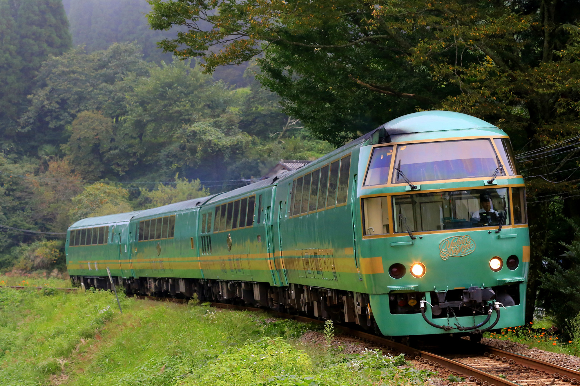 旅游列车「汤布院的森林Ⅰ世」（照片∶坪内政美）