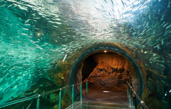 RISONARE Shimonoseki Staff Introduce the Highlights and Tips for Exploring Shimonoseki’s “Kaikyokan”