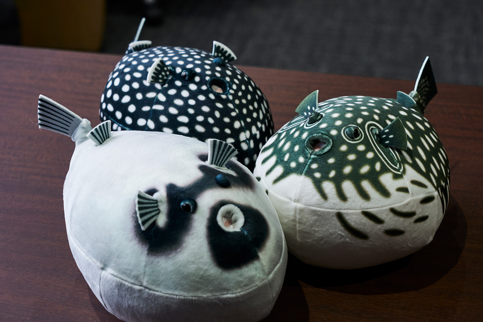  Kaikyokan’s original “Pufferfish Plush Toys” come in three varieties