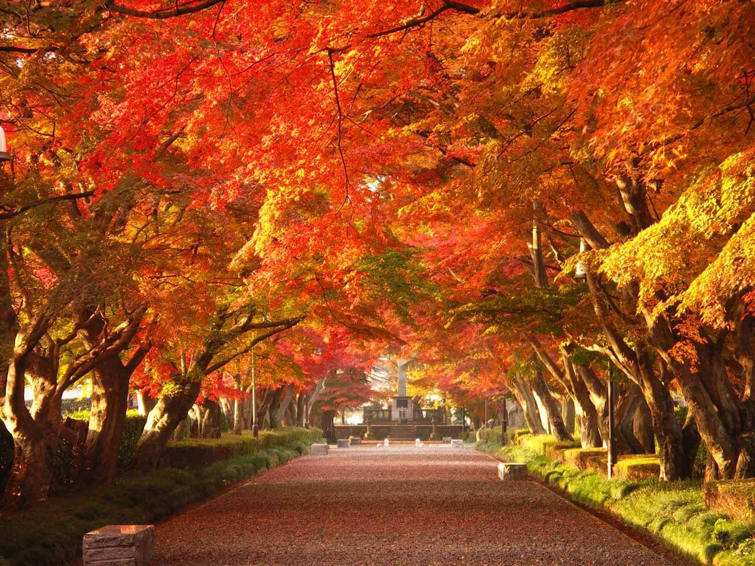 https://hoshinoresorts.com/jp/guide/wp-content/uploads/2021/09/nsk_7-1.jpeg