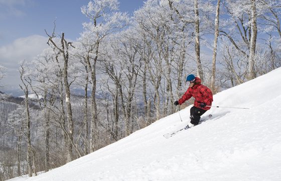 【2024年版】軽井沢でおすすめのスキー場・時期・特徴とは？