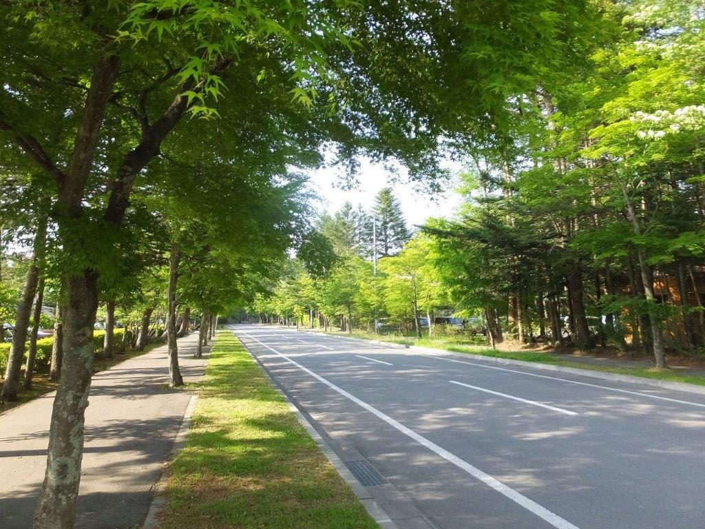 【軽井沢へのアクセス】東京・名古屋方面から、電車・車・バスでのアクセス方法