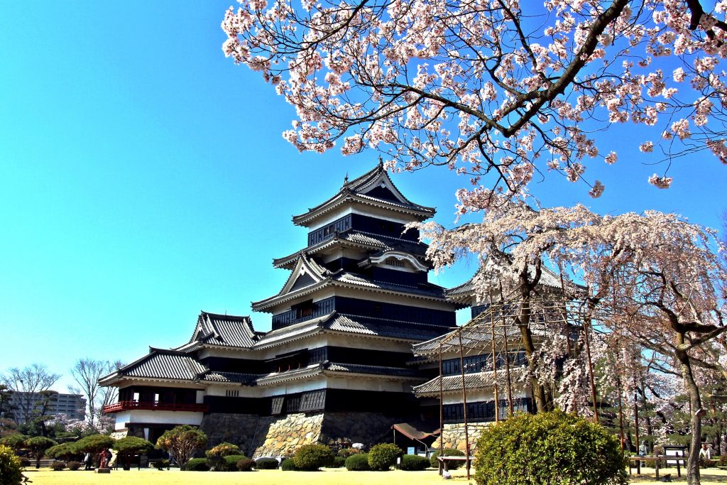 【2024年版】松本市内で桜を見るならここ！おすすめの名所・見頃をご紹介