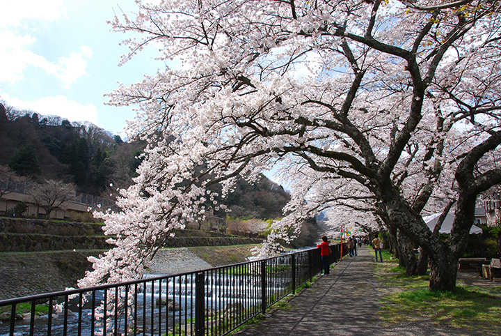 写真提供：箱根町企画観光部観光課