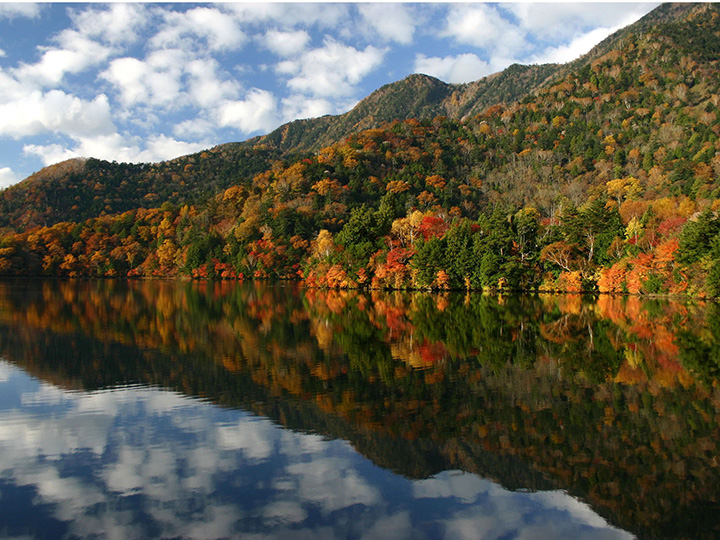 湖面に映える紅葉と青空が創り出す景観は大自然からの贈り物