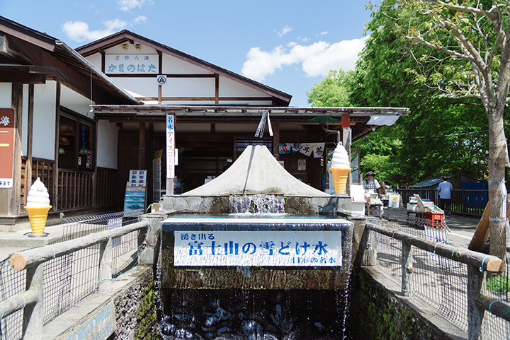 湧き出る富士山の雪解け水は、全国名水百選に選定されています。