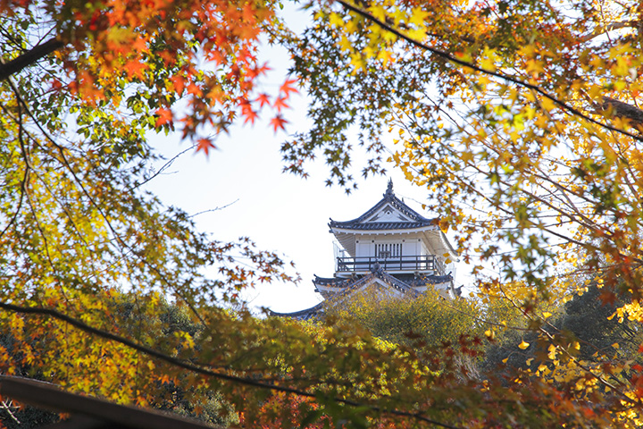 日本庭園からの秋の眺めも素晴らしい