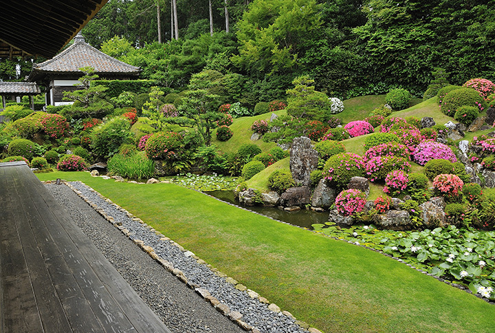 本堂の北側にある、江戸時代初期に築かれた池泉鑑賞式庭園