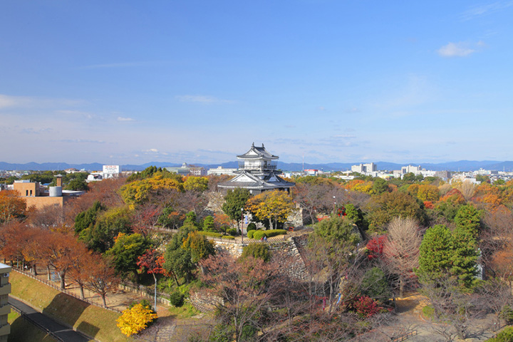 浜松の四季と気温・服装をチェックしよう