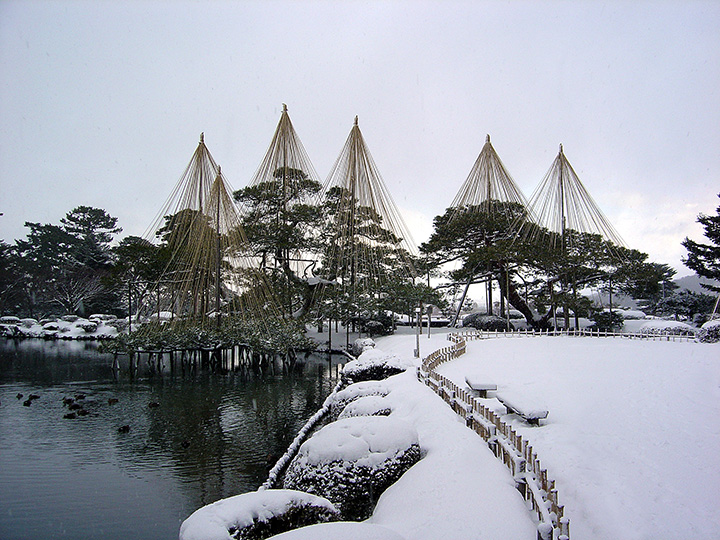 金沢の風物詩、雪吊りが美しい冬の兼六園
