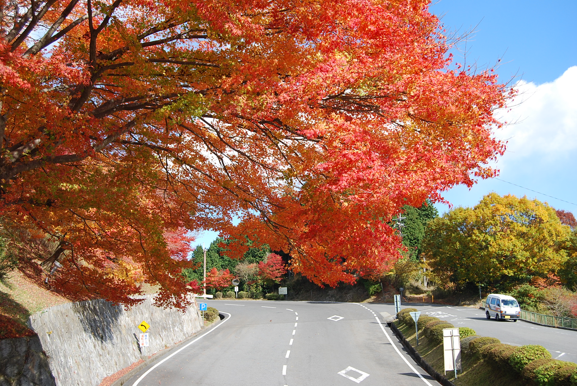比叡山ドライブウェイの紅葉（写真：びわ湖大津観光協会）