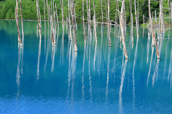 日によって池の青色が変化する