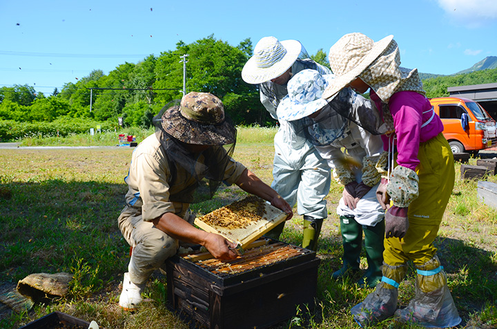 ミツバチを育てることも農業の一環