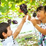 子ども連れにおすすめ、河口湖のおでかけスポット8選
