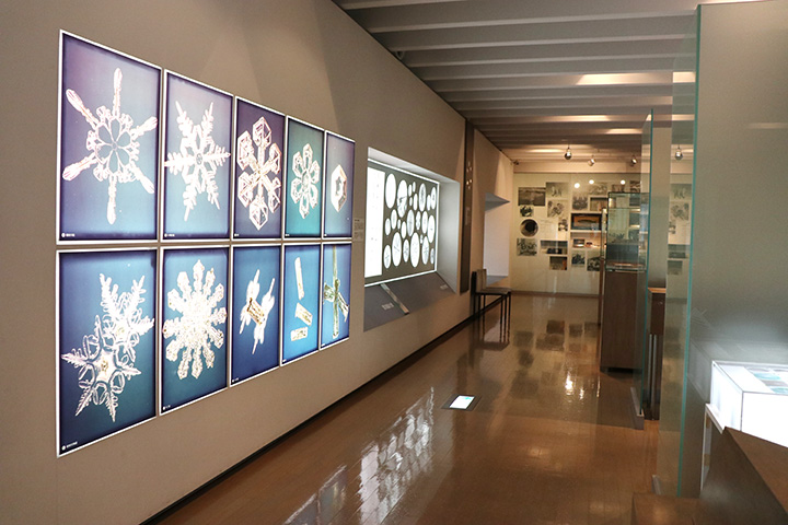 星状六花、扇型、ツヅミ型などと、雪の結晶の分類を分かりやすく展示