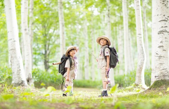 子どもと一緒に巡る富良野・美瑛・トマムのおすすめ観光コース