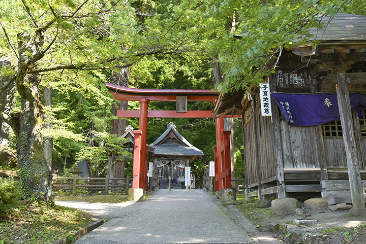 鳥居の奥に佇む「厳島神社」